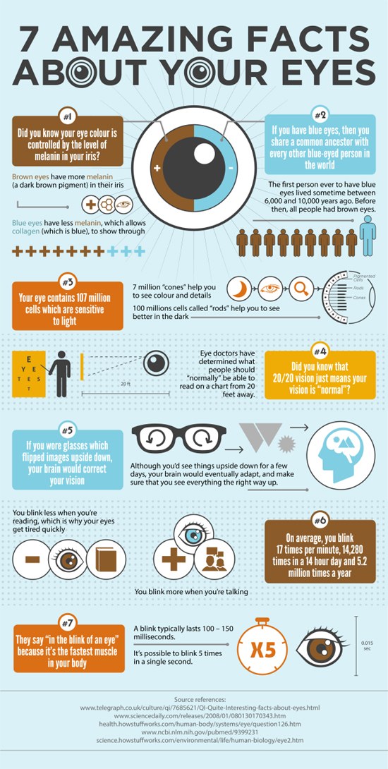 7 Amazing Facts About Your Eyes 