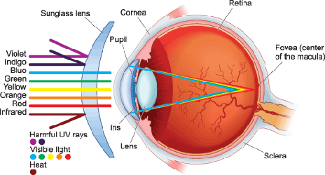 Do sunglasses block store uv rays